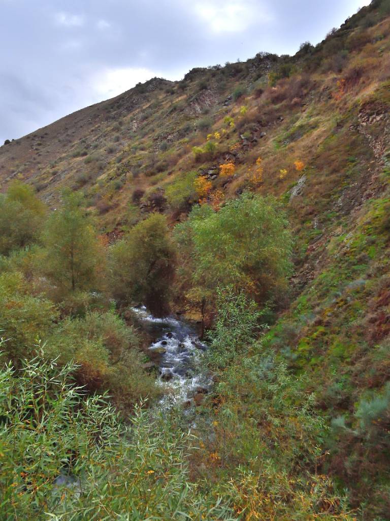 DSCN2410.JPG - Azat.