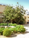 DSCN1668