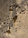 DSCN1688