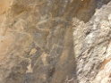 DSCN1692