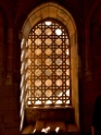 DSCN1746