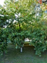 DSCN1763