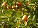 DSCN1764