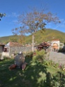 DSCN1781