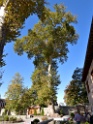 DSCN1792