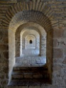 DSCN1808