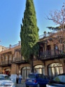 DSCN1860