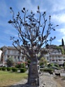 DSCN1894