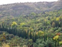DSCN1909