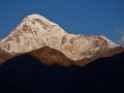DSCN2011