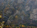 DSCN2054