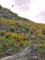 DSCN2108