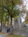 DSCN2115