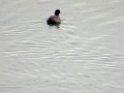 DSCN2154