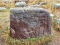 DSCN2167