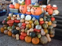 DSCN2245