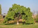 DSCN2295