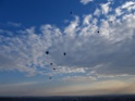 DSCN2303