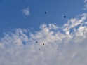 DSCN2310
