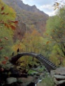 DSCN2335