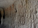 DSCN2373