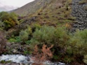 DSCN2392