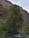 DSCN2396