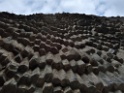 DSCN2405