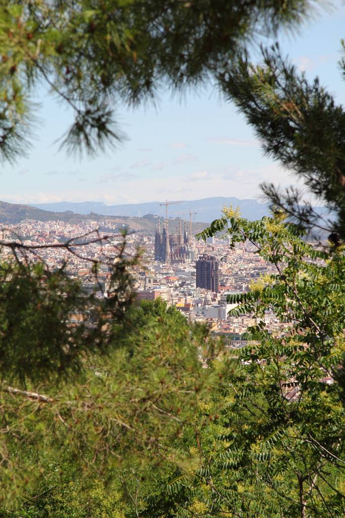 IMG_3951.JPG - Auch von hier ist Barcelona mit der Sagrada Familia zu sehen.