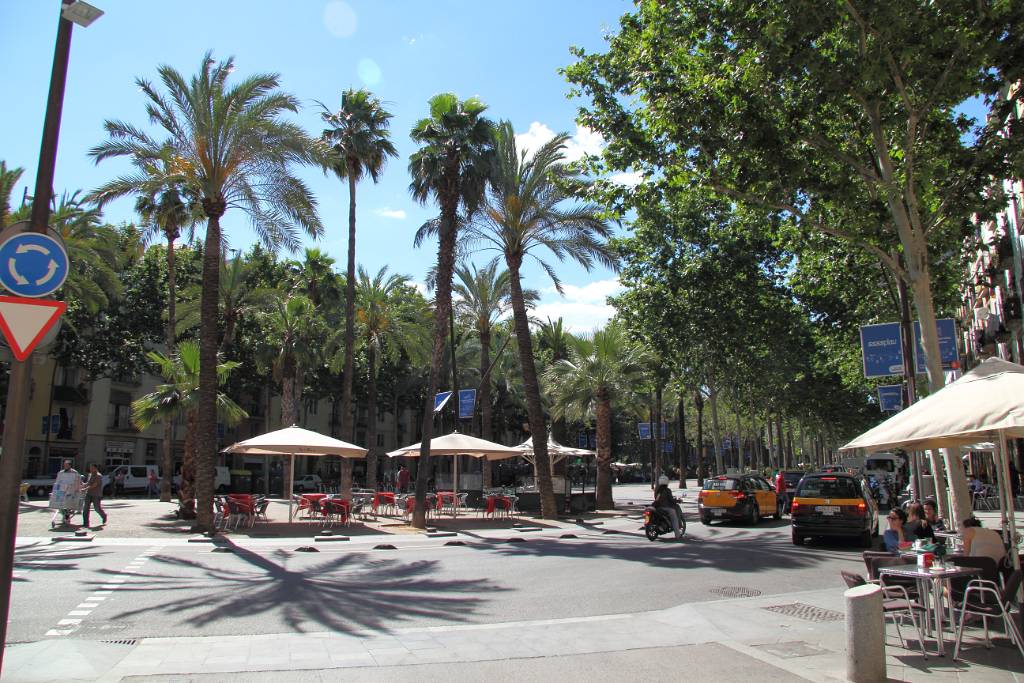 IMG_4035.JPG - …die Rambla del Raval. Eine von Palmen gesäumte Promenade.