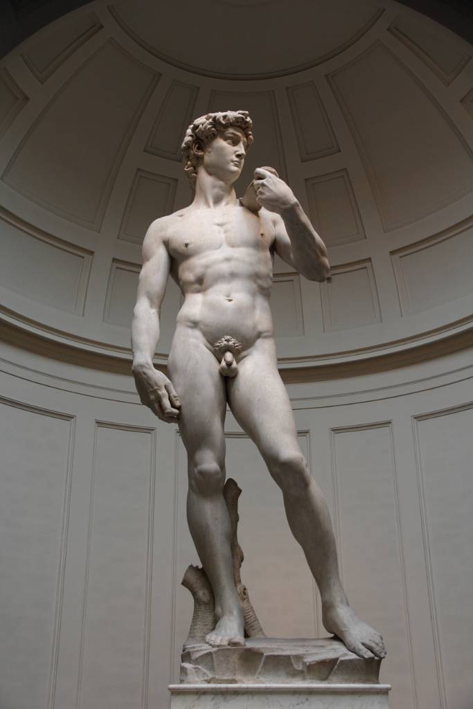IMG_7570.JPG - Hier ist das Original von Michelangelos David zu sehen. In diesem Fotoalbum sogar mehrmals.