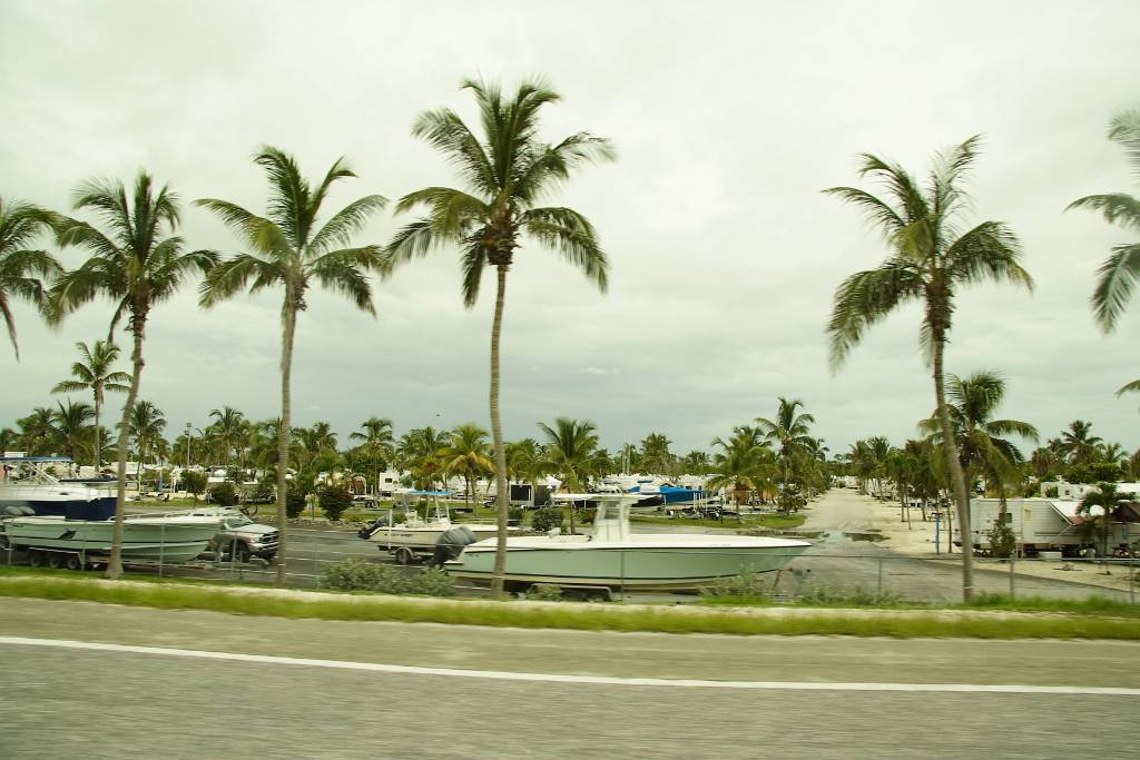 IMG_0206.JPG - ein Hafen in Key West