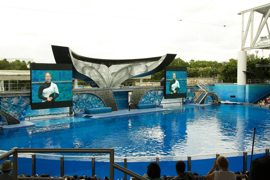 IMG_0802.JPG - Das ist die Shamu Show… Der Killerwal… Die Show heißt Believe… die war so cool… richtig traurig manchmal… warum weiß ich nicht…aber man bekommt richtig lust so was auch zu machen… mit killerwalen oder Delphinen schwimmen…