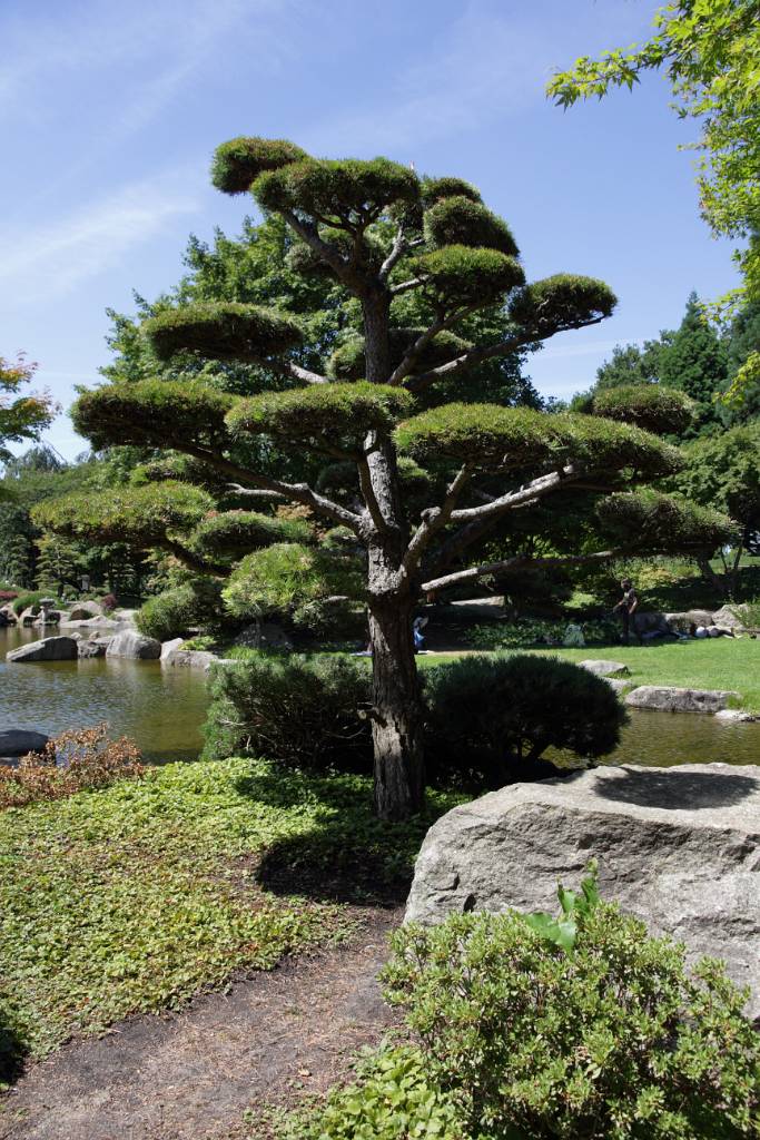 IMG_2171.JPG - Der Park wurde 1953 für die internationale Gartenausstellung angelegt.