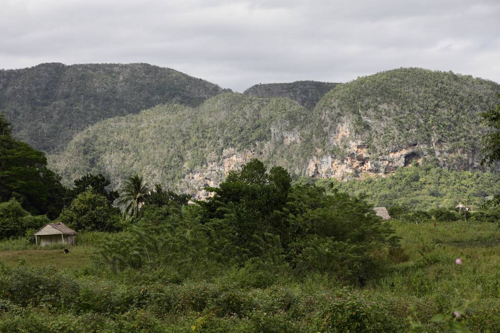 IMG_4847.JPG - Blick ins Tal Valle de las Dos Hermanas - das Tal der zwei Schwestern.