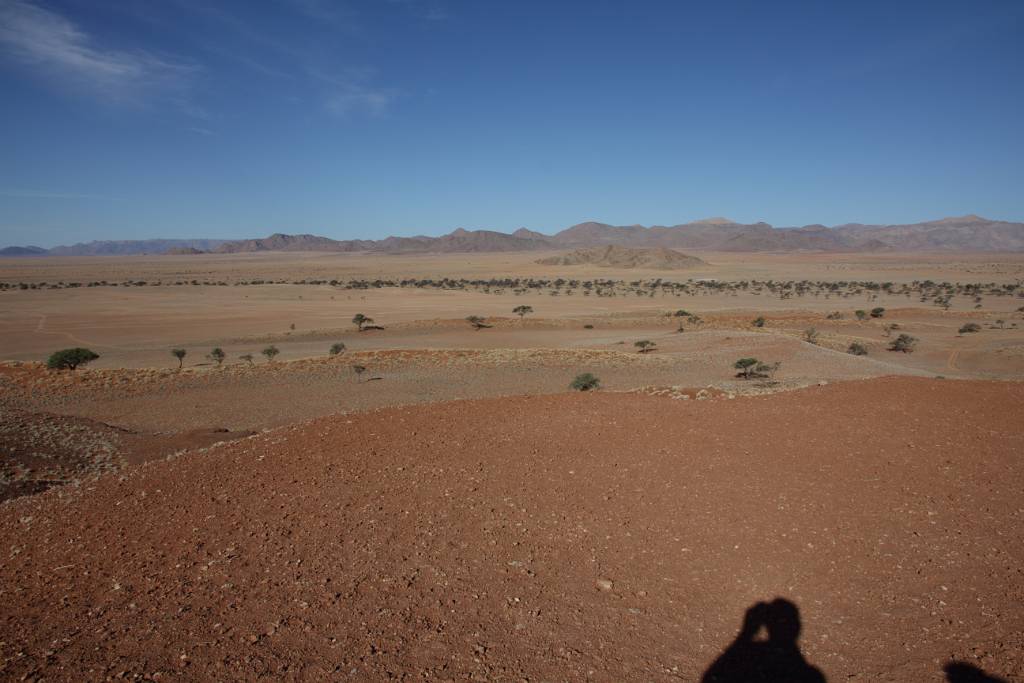 IMG_9778.JPG - Viel mehr Wüste.