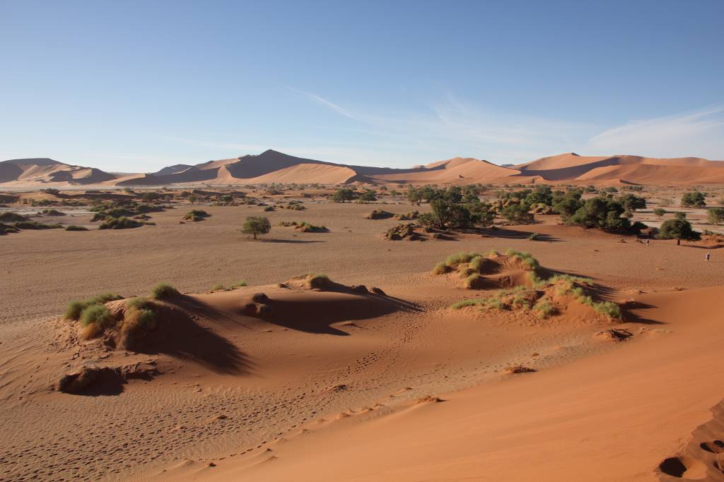 IMG_9833.JPG - Das Sossusvlei ist eine große, abflusslose Lehmbodensenke, die von teilweise über 300 Meter hohen Dünen eingeschlossen wird.