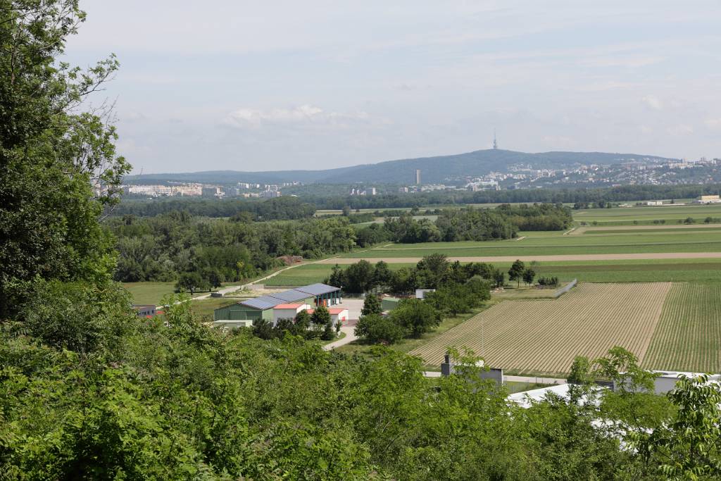 IMG_5751.JPG - Am Weg zum Neusiedler See machen wir beim Bratislava Blick in Berg einen Zwischenstop.