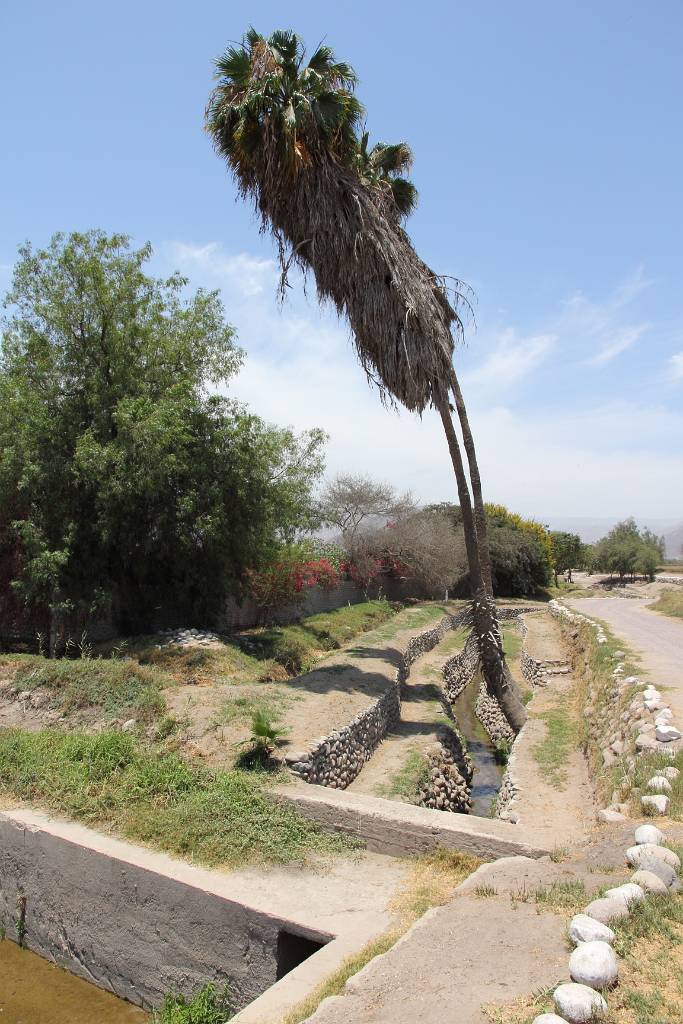IMG_6708.JPG - Vor 2000 Jahren, in Vorinkazeiten, entwickelten die Bewohner von Nazca ein System von unterirdischen Aquädukten zur Bewässerung des trockenen Landes ohne Oberflächenwasser.