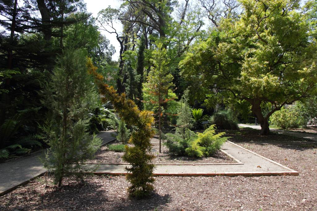IMG_4009.JPG - Den Botanische Garten der Universität Valencia gibt es seit 1802 an diesem Ort.